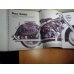 Harley-Davidson –  by Garry Stuart 