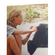 Jane Goodall - 50 Years at Gombe Hardcover