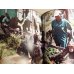 Jane Goodall - 50 Years at Gombe Hardcover