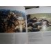 Photojournalism 1855 to the Present - Editors Choice 