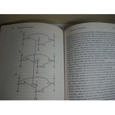 Primate Behaviour: Information, Social Knowledge