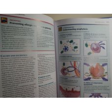Professional Guide to Diseases Lippincott, 10th Edition