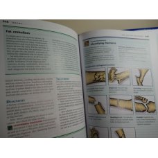 Professional Guide to Diseases Lippincott, 10th Edition