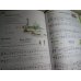 Succeeding at the Piano, Lesson Technique Book - Grade1