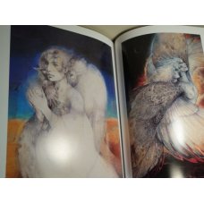 Susan Seddon Boulet - The Goddess Paintings, Paperback