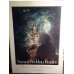 Susan Seddon Boulet - The Goddess Paintings, Paperback