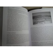 The Archaeology of Ancient Greece, James Whitley 
