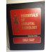 The Essentials of Skeletal Radiology 2 Vol Set, Yochum