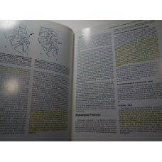 The Essentials of Skeletal Radiology 2 Vol Set, Yochum