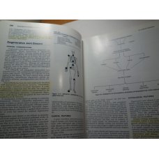 The Essentials of Skeletal Radiology 2 Vol Set, Yochum