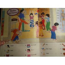 The Oxford Picture Dictionary for Kids 