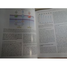 Vertebrate Endocrinology, Fifth Edition, Norris, Carr