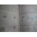 Vertebrates Adaptation - Scientific American